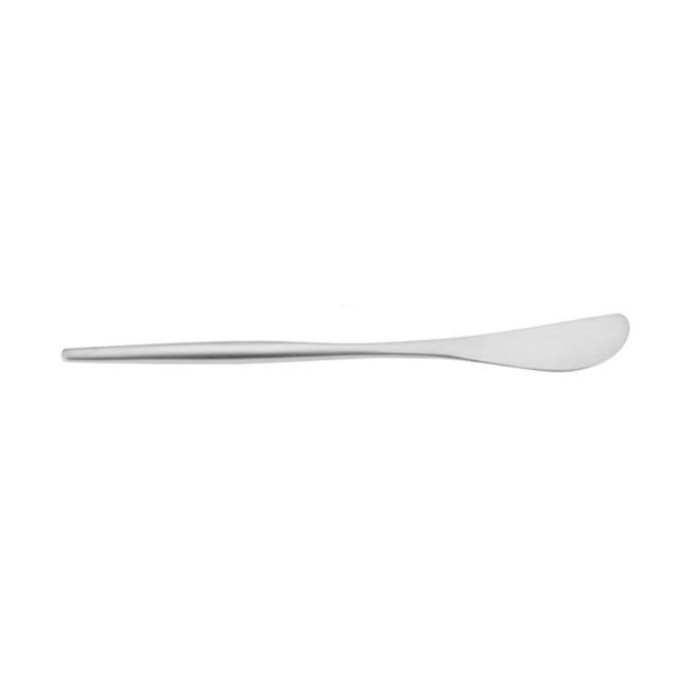Silver Cheese Spreader