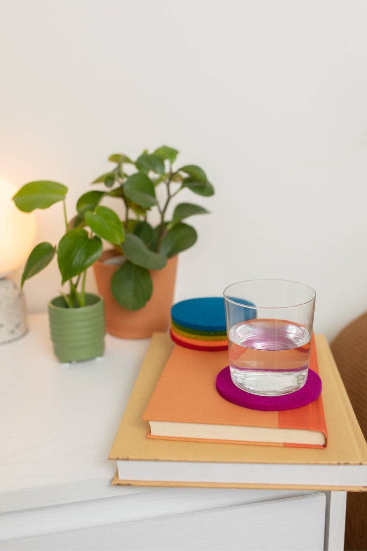 Merino Wool Felt Round Coasters | Electric