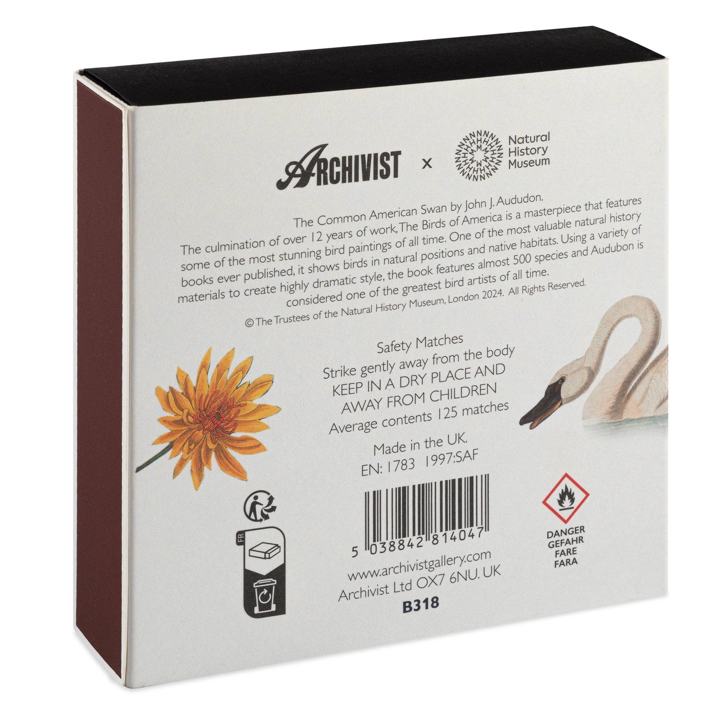Common American Swan | Square - Safety Matches
