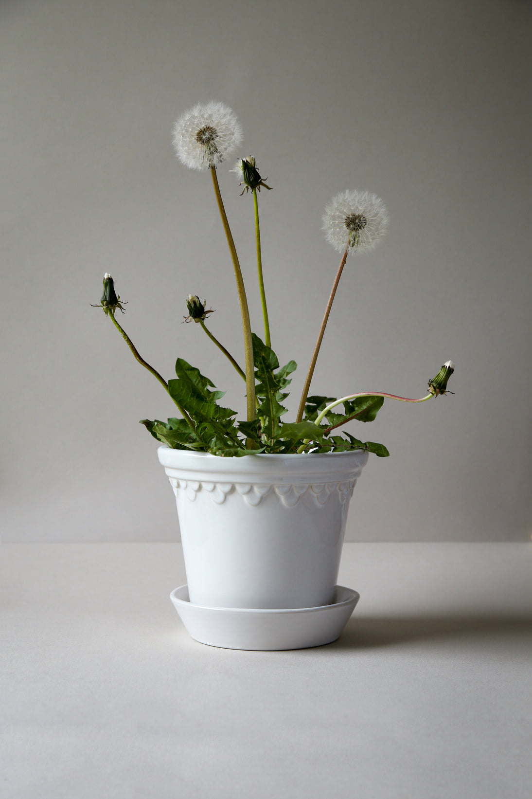 Københavner Glazed Mineral White | 12 CM