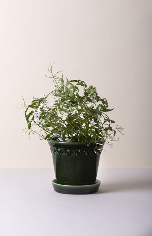 Københavner Glazed Emerald Green | 12 CM