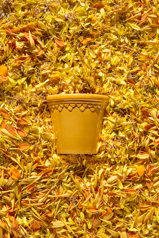 Københavner Glazed Amber Yellow | 12 CM