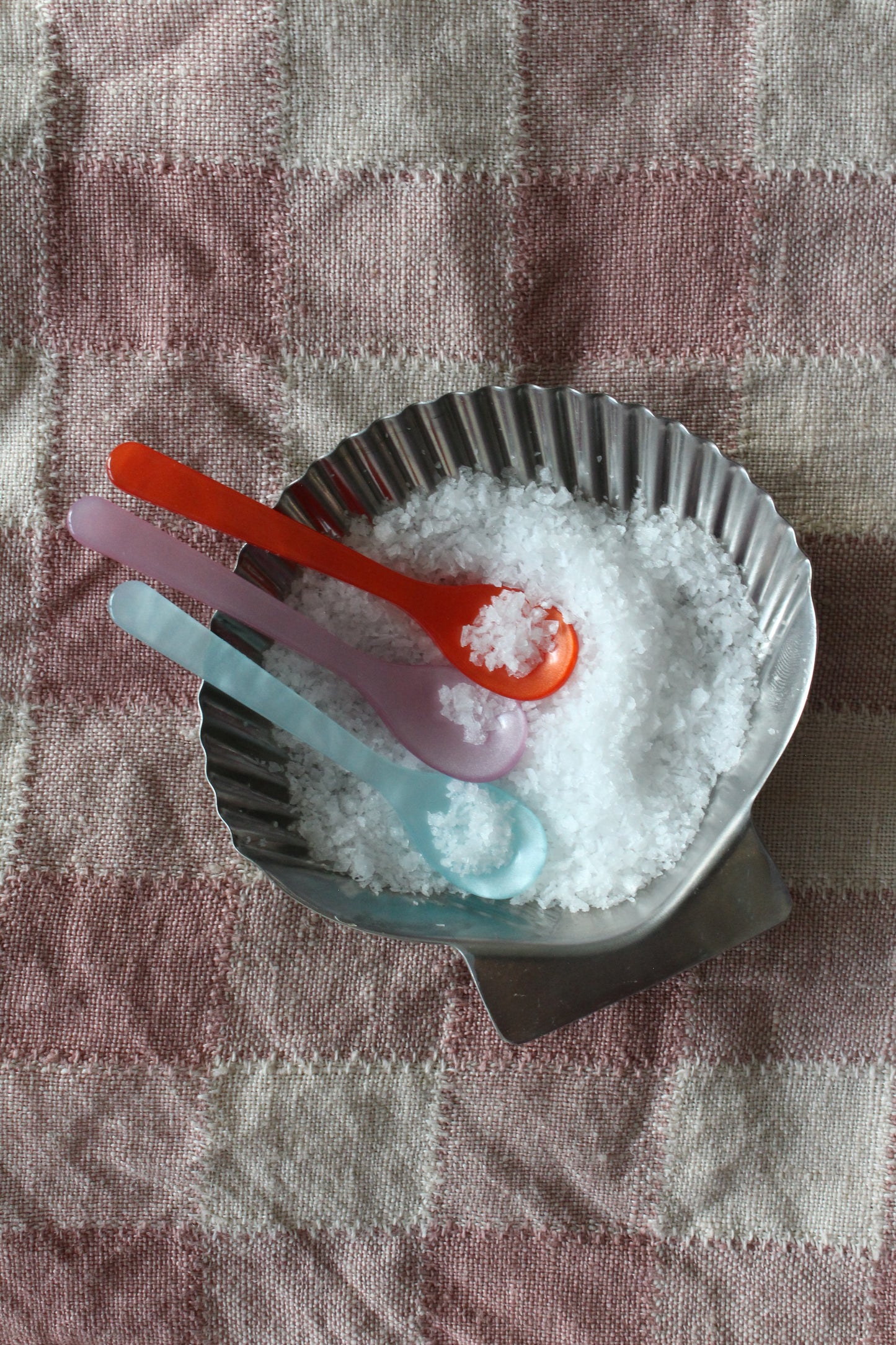 Sea Shell Salt Dish