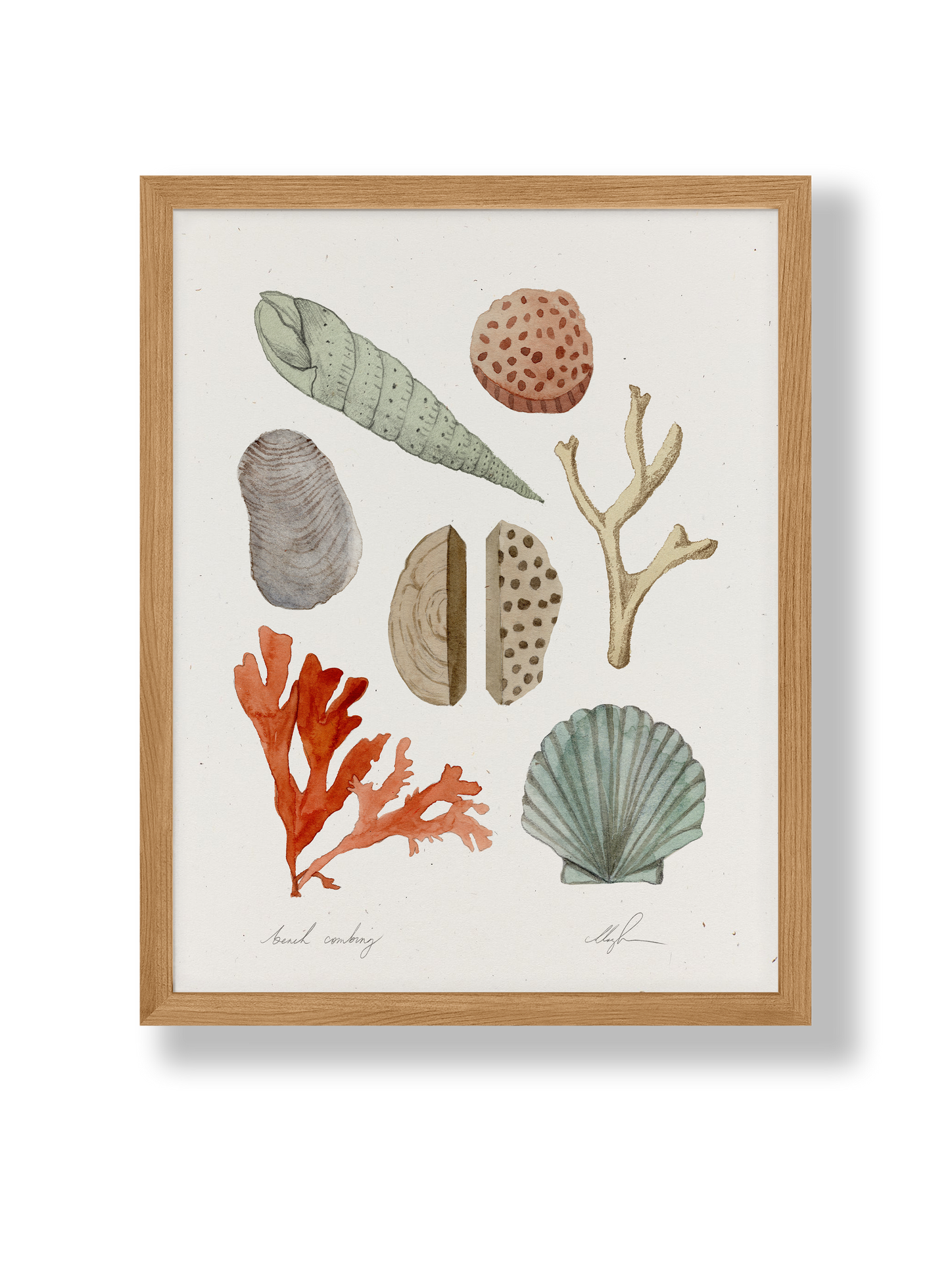 Beach Combing