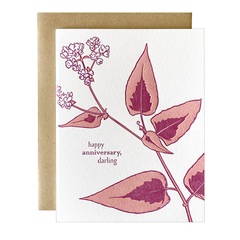 Persicaria Anniversary Card