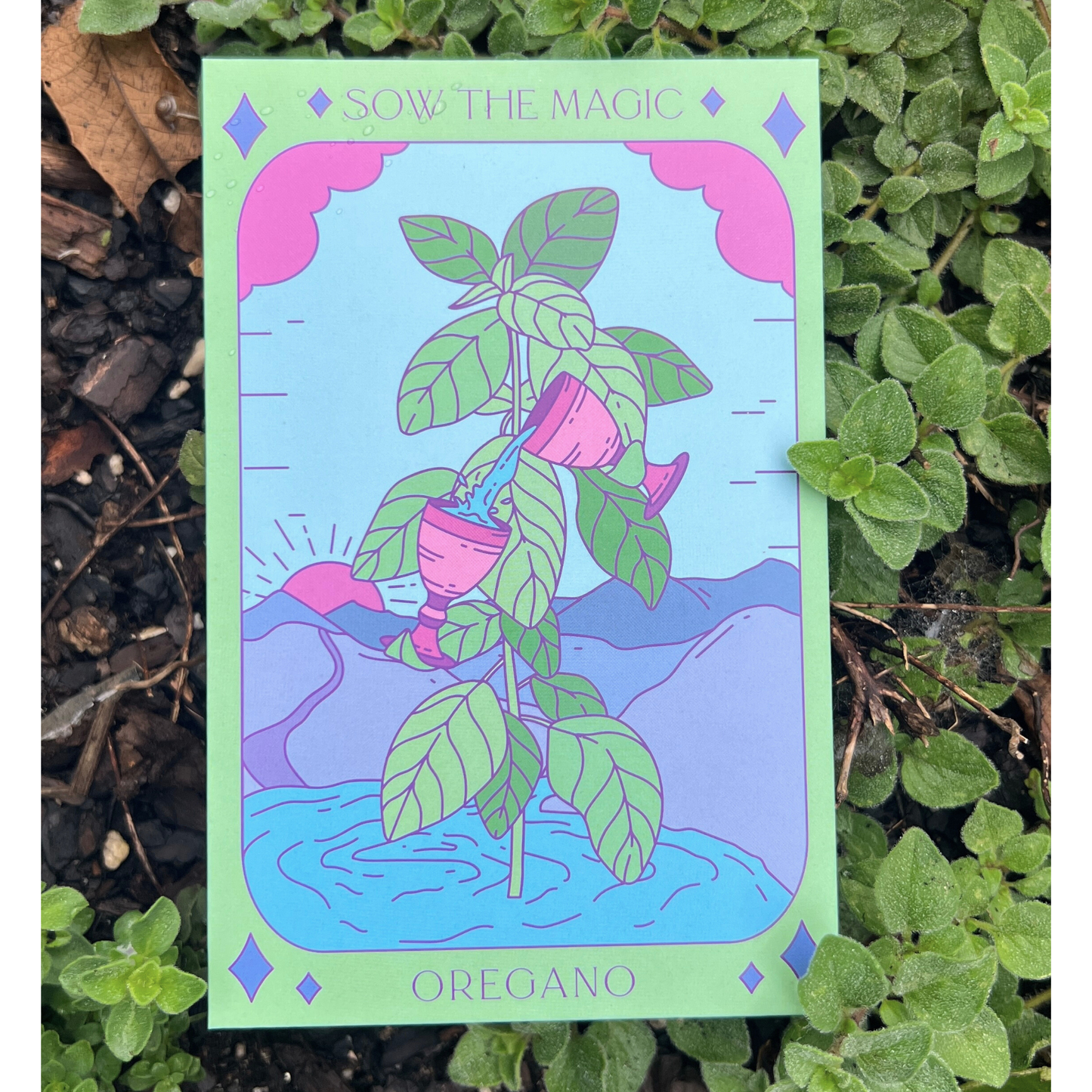 Oregano Tarot Garden + Gift Seed Packet