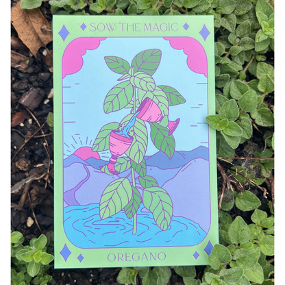 Oregano Tarot Garden + Gift Seed Packet