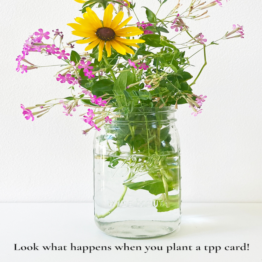 Around the Sun: Plantable Wildflower Birthday Card