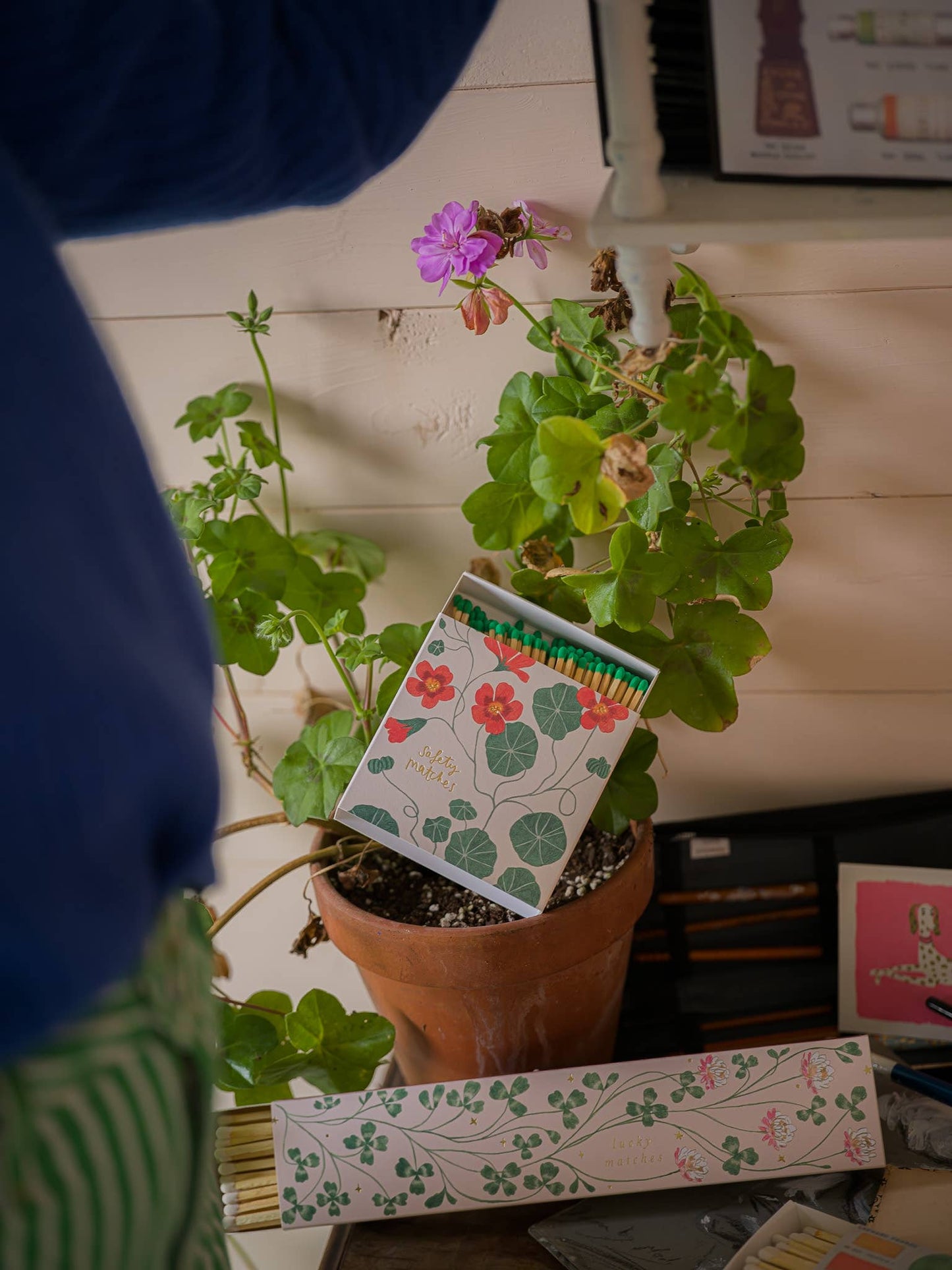 Nasturtium Matches