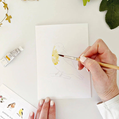 Birds | Watercolor Notecard Set