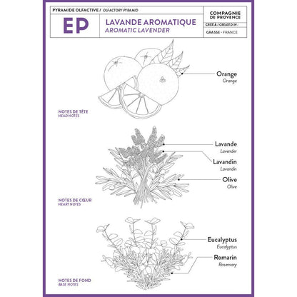 Lavender Liquid Marseille Soap