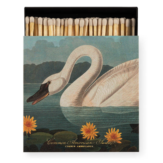 Common American Swan  | Square - Safety Matches