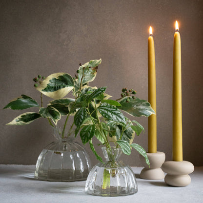 Root Propagation Vase (Two Sizes Available)