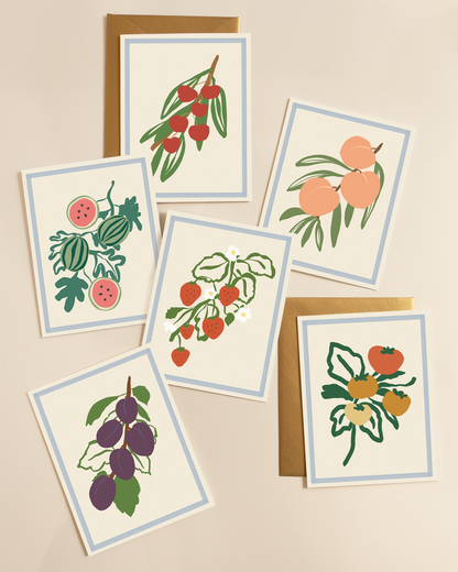 Harvest Assorted Box Set