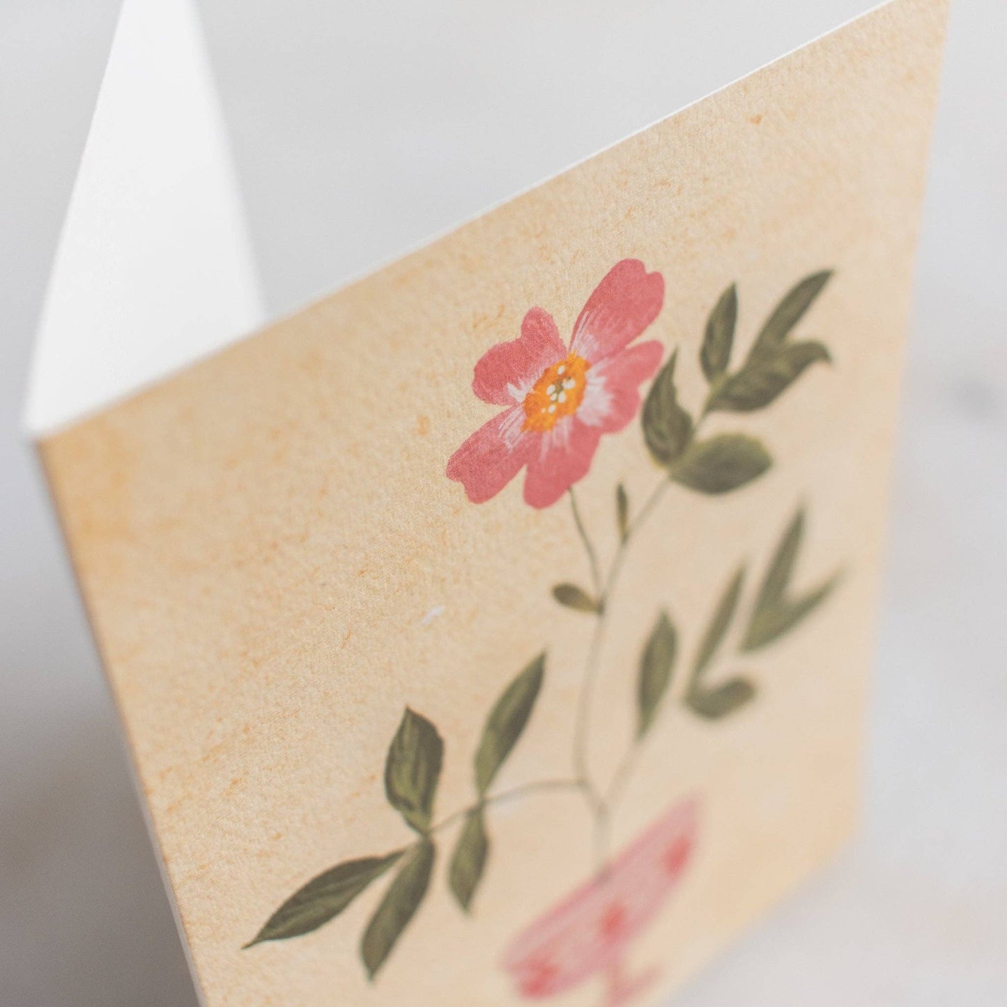 Pink Floral Vase Card
