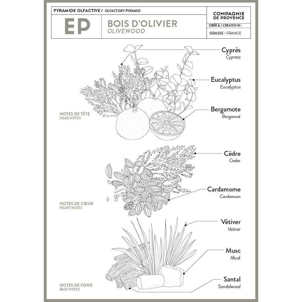Olive Wood Liquid Marseille Soap