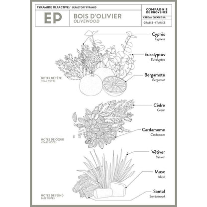Olive Wood Liquid Marseille Soap
