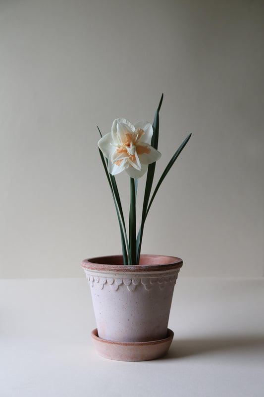 Københavner RAW Rosa Pot | 12 CM