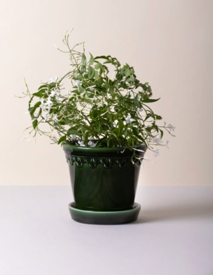 14 CM | Emerald Glazed Pot