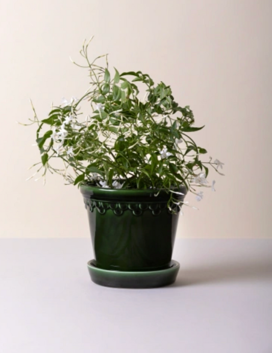 14 CM | Emerald Glazed Pot