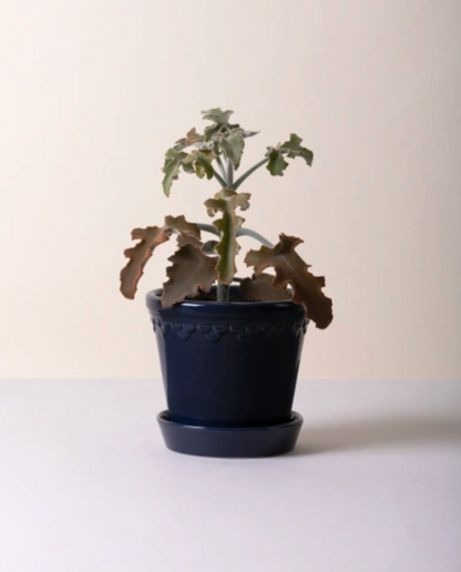 14 CM | Sapphire Blue Glazed Pot