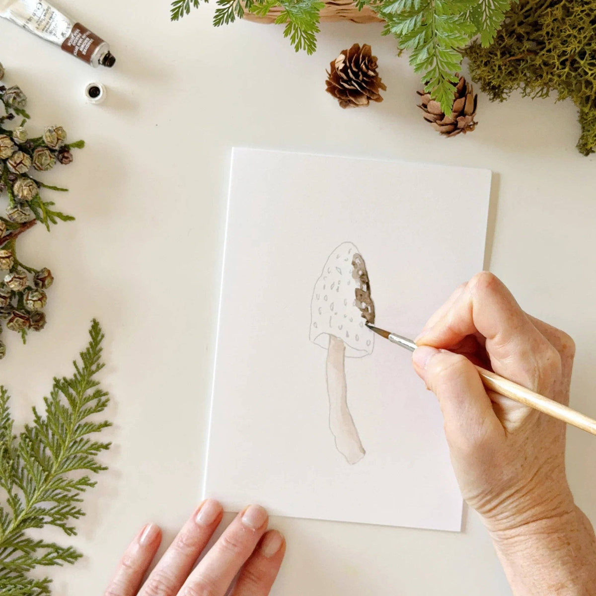Mushrooms | Watercolor Notecard Set