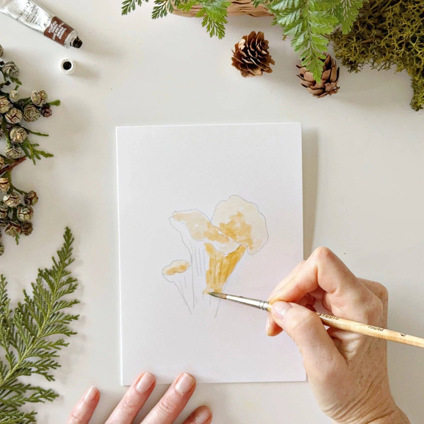 Mushrooms | Watercolor Notecard Set