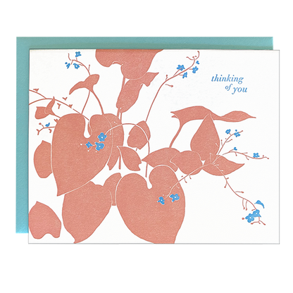 Forget Me Not Sympathy