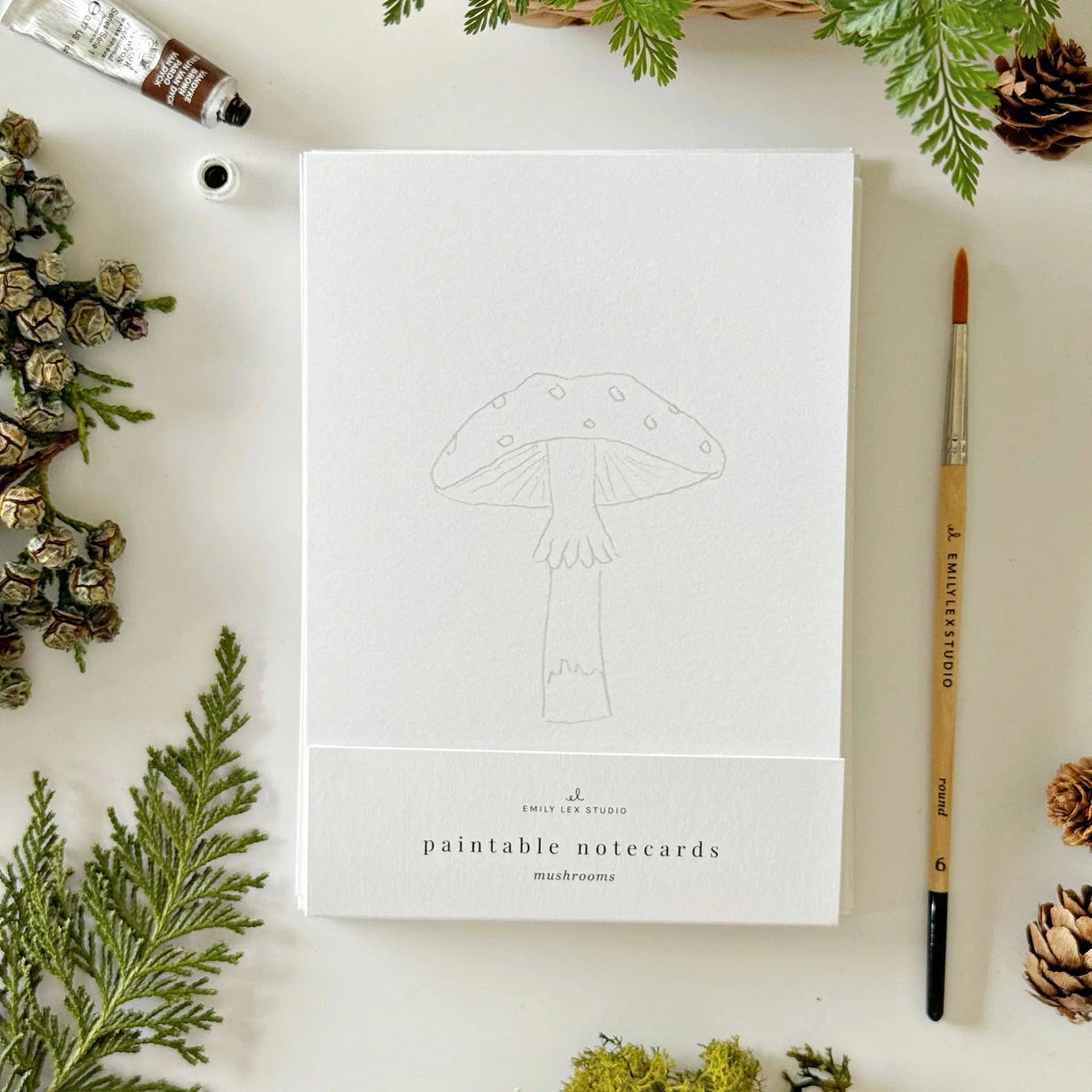 Mushrooms | Watercolor Notecard Set