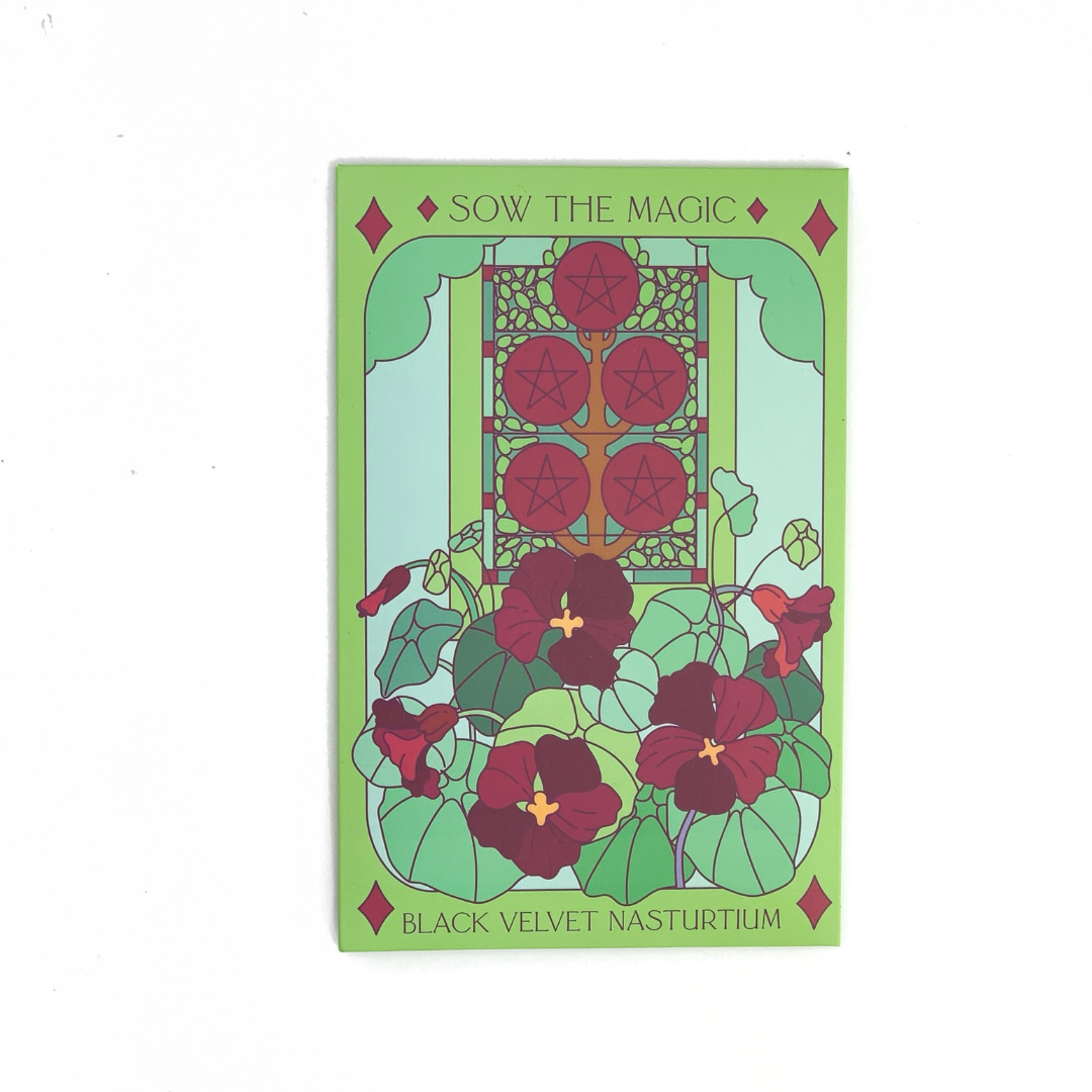 Black Velvet Nasturtium Tarot Seed Packet