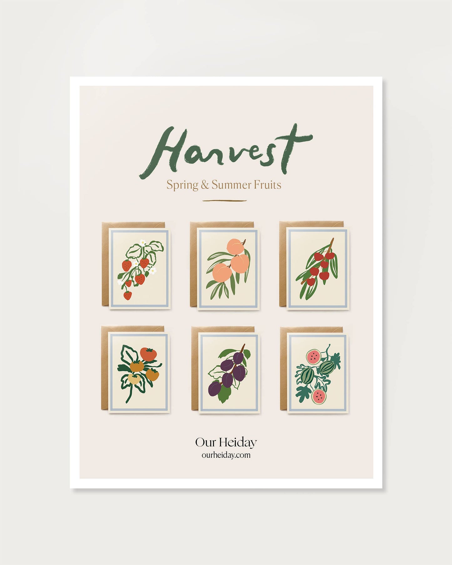 Harvest Assorted Box Set