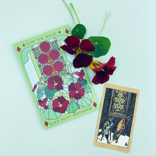 Black Velvet Nasturtium Tarot Seed Packet